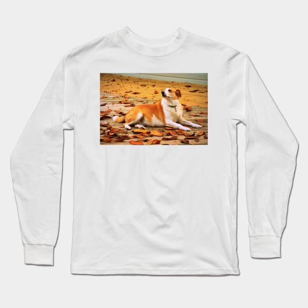 Fall Fusion Long Sleeve T-Shirt by bgaynor